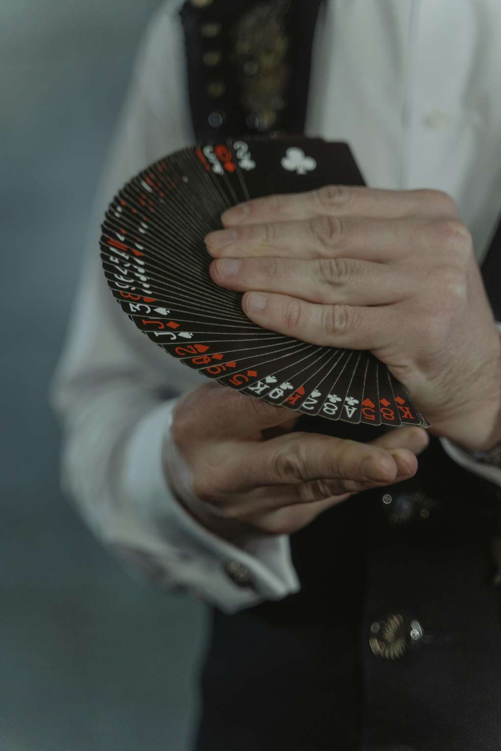 iwild casino Schweiz iwild casino Schweiz